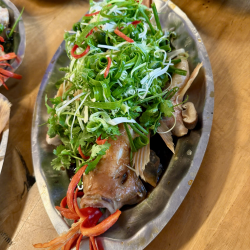 Diêu hồng hấp Hongkong